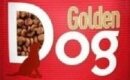 GOLDEN DOG