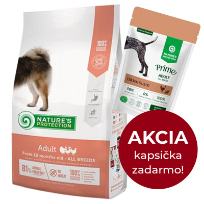 Natures P dog adult all breed poultry 12  kg