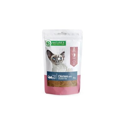 Pamlsok Natures P Snack cat chicken &amp; blueberries 75 g