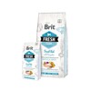 BRIT Fresh Adult Large ryba s tekvicou 2,5 kg (2,5 kg)