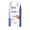 Brit Veterinary Diets GF dog Gastrointestinal Junior 2 kg (2 kg)